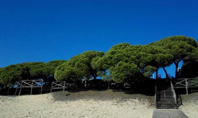 A romantic holiday in the Río Piedras and Flecha del Rompido Nature Site