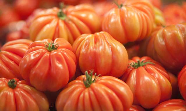 The market garden: water and sun, the magical alchemy of Andalusia