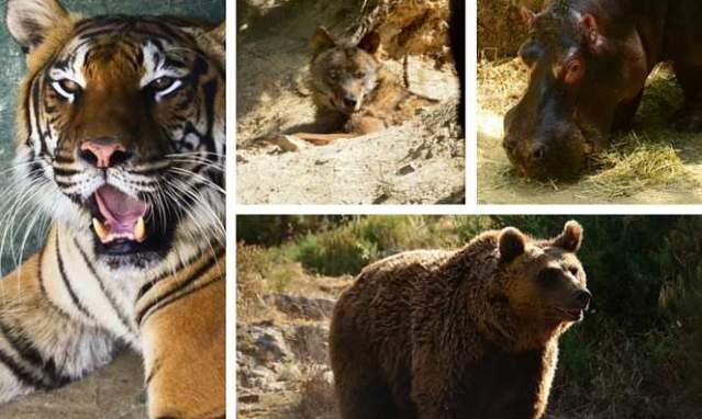 Ten ways to enjoy Andalusia as a family