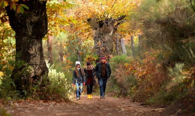 Paths and trails through the Sierra de Aracena and Picos de Aroche