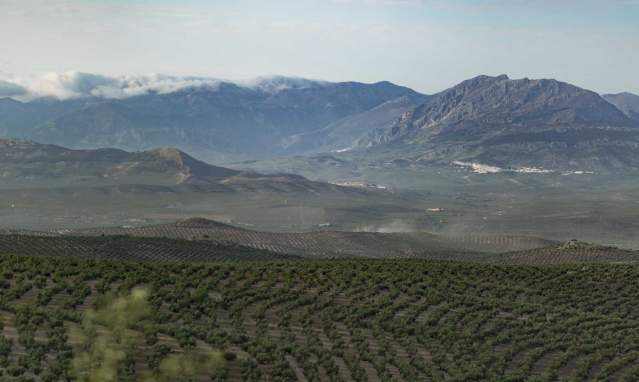 Why is a visit to Andalusia good for your health?