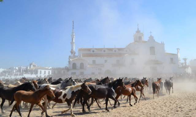 La Saca de las Yeguas, (Separating the Mares), an age-old tradition in a unique setting
