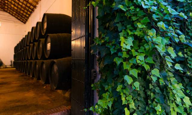 Montilla y la artesanía del vino