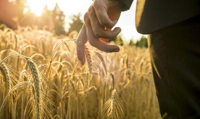 Conociendo las ecoaldeas. El caso almeriense