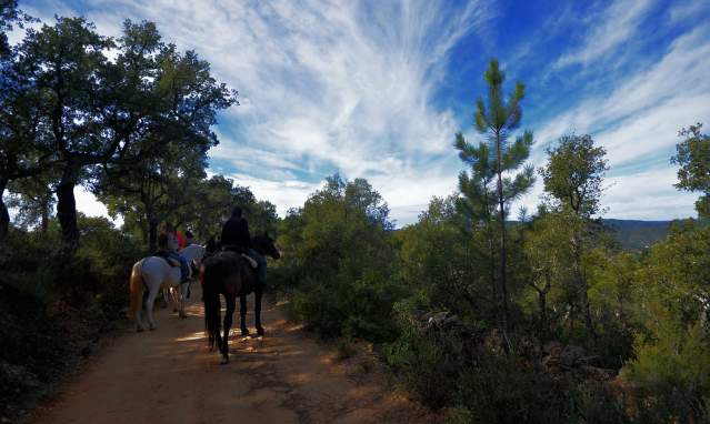 Horseback ride through Sierra de Aracena
