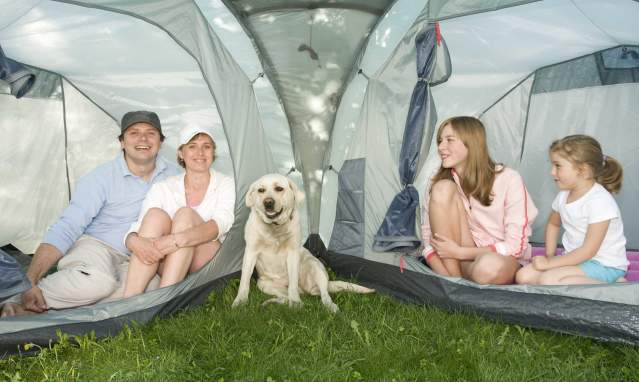 De campings por la provincia de Córdoba con tu perro
