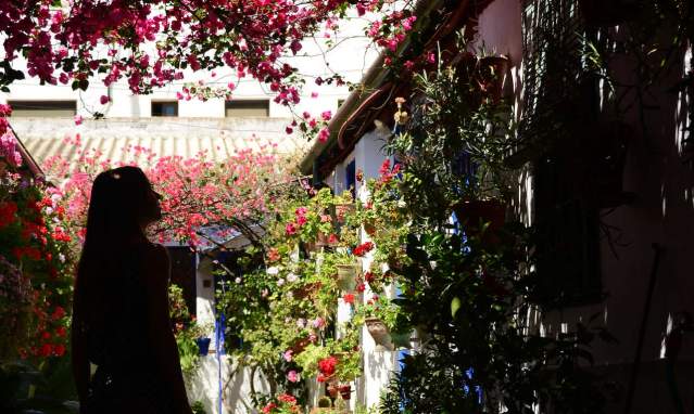 Cordoba, its patios, fair and the best Montilla-Moriles wine