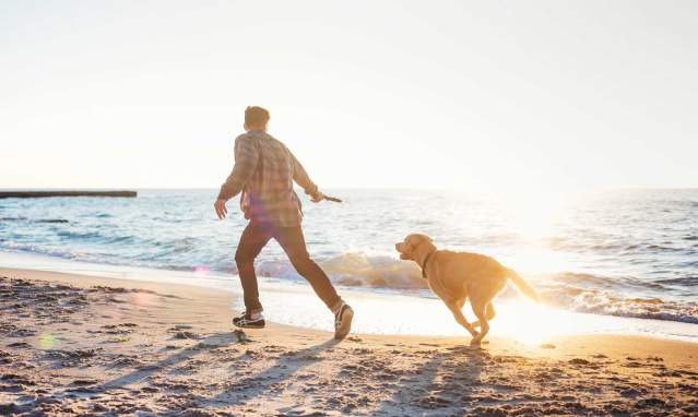 An unforgettable stay with your pet in Huelva
