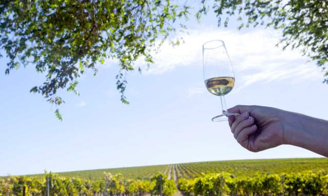 4 fêtes d'automne en Andalousie auxquelles il faut assister une fois dans sa vie