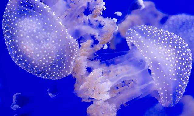 Andalucía con ciencia