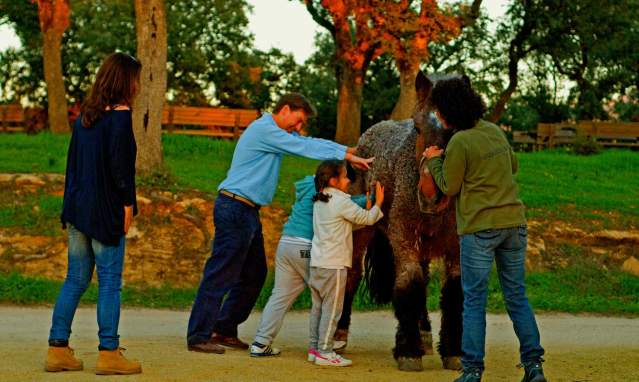The 10 best ways to enjoy the Costa del Sol with children
