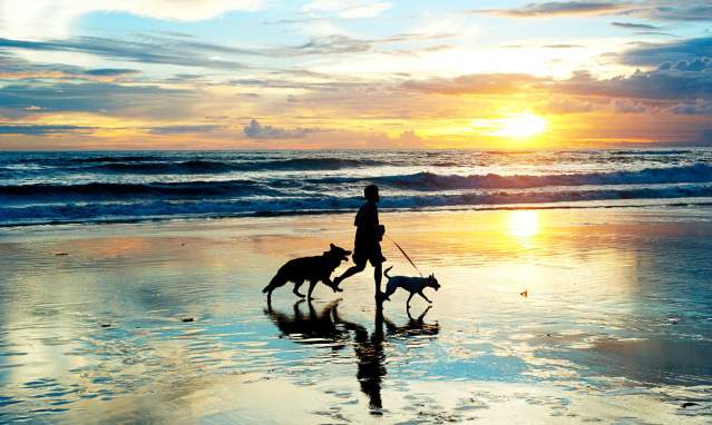 Dogs permitted. Stay in Huelva with your pet