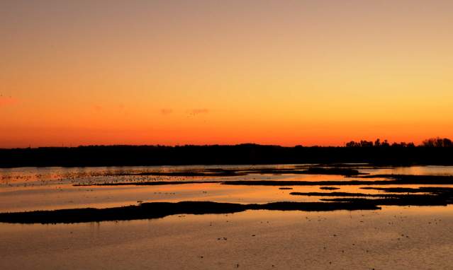 When the sun goes down over the El Rocío marsh
