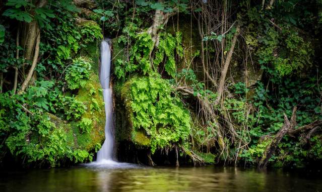 Baños de Popea y Arroyo Bejarano