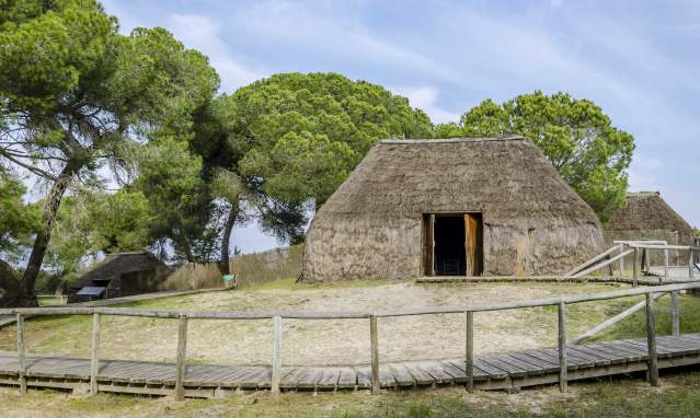 Ecotourism tours in Doñana