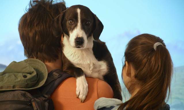 Hiking routes you can try with your dog in Andalusia