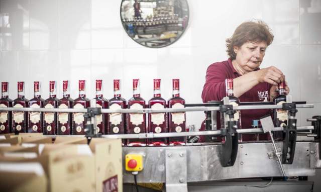 The Distilleries of the Sierra Norte of Seville