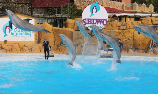 Accessible leisure parks