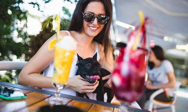 Tapas with your pet in Granada and the province