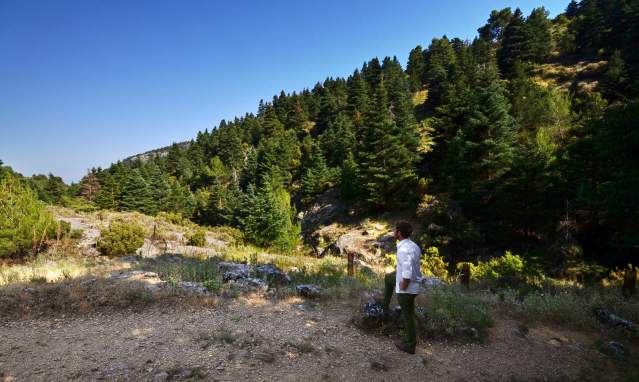 2 planes poco conocidos que hacer en la Sierra de las Nieves