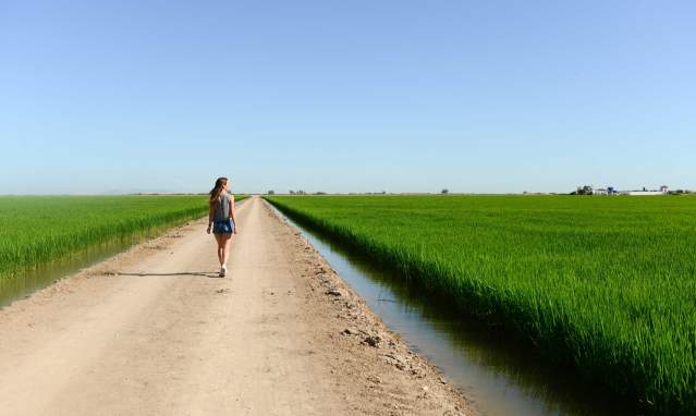 Parcourir La Isla Mínima et les scènes de Game of Thrones
