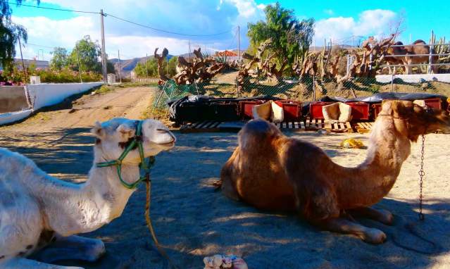 Almería: un destino único para descubrir en familia
