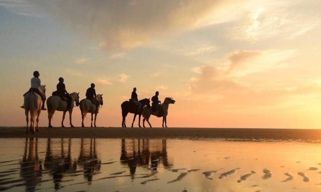 Un paseo por las orillas de las mejores playas de Andalucía