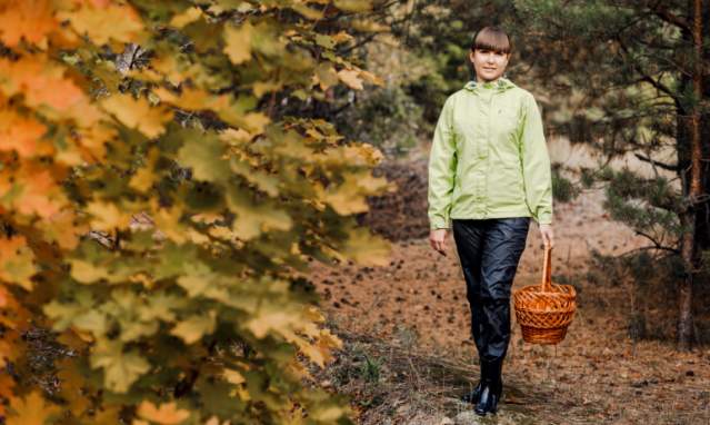 Saison des champignons à Almeria : variétés locales, où, quand et comment les récolter.