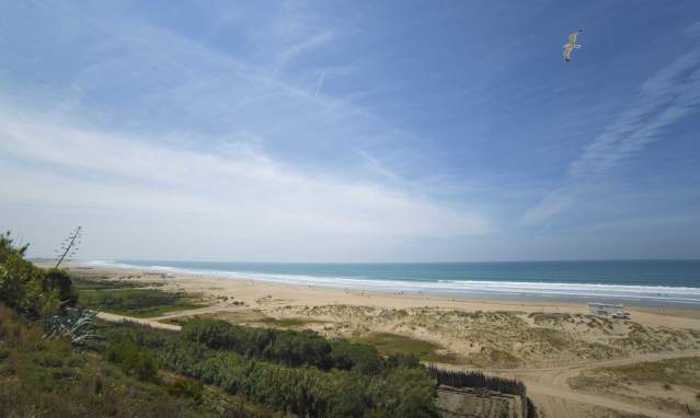 Surf destinations in Cadiz where you'll enjoy good vibes