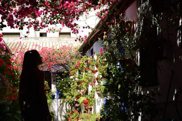 Córdoba, sus patios, Feria y el mejor vino Montilla-Moriles