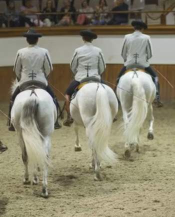 Fundación Real Escuela Andaluza del Arte Ecuestre