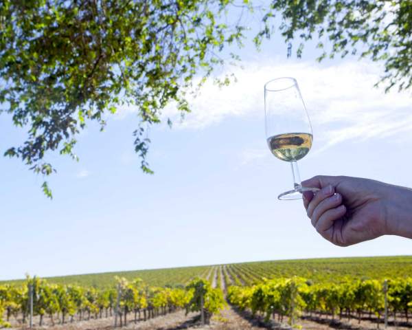 4 fêtes d'automne en Andalousie auxquelles il faut assister une fois dans sa vie