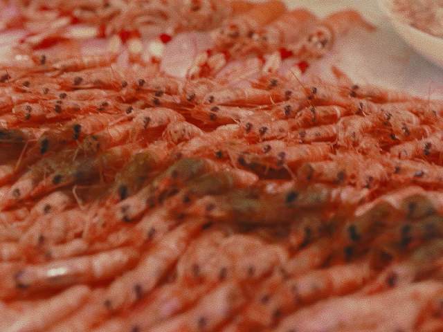 Gambas