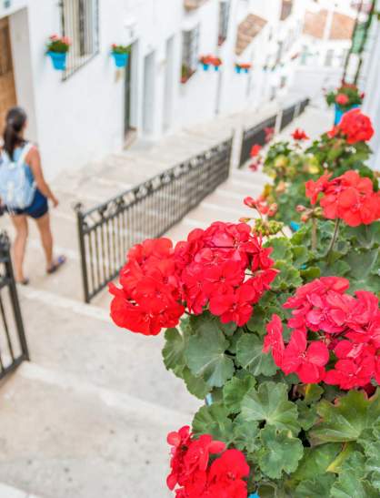 Andalusia in spring