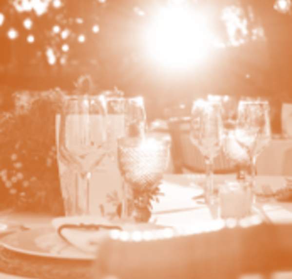 Presentacion segmento Mice