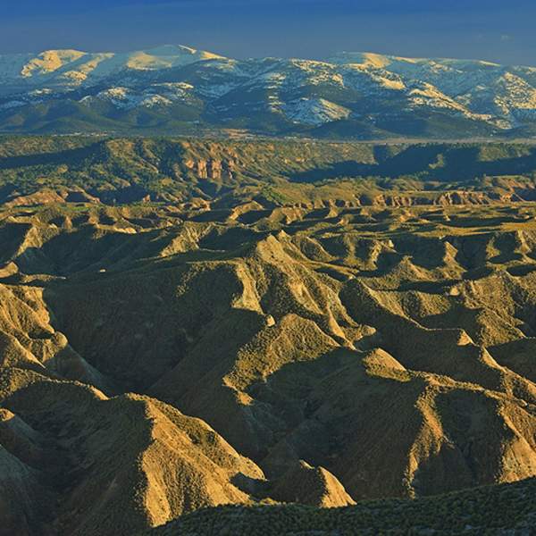 Georuta Desierto de Gorafe