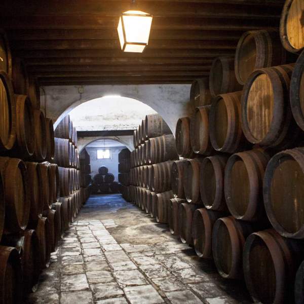 Visitas Gastronómicas