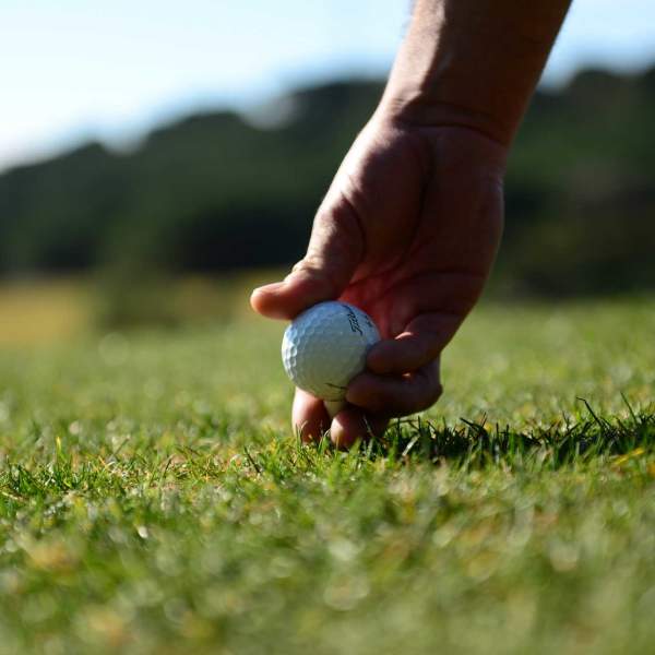 Golf las compras el mejor relax (34)
