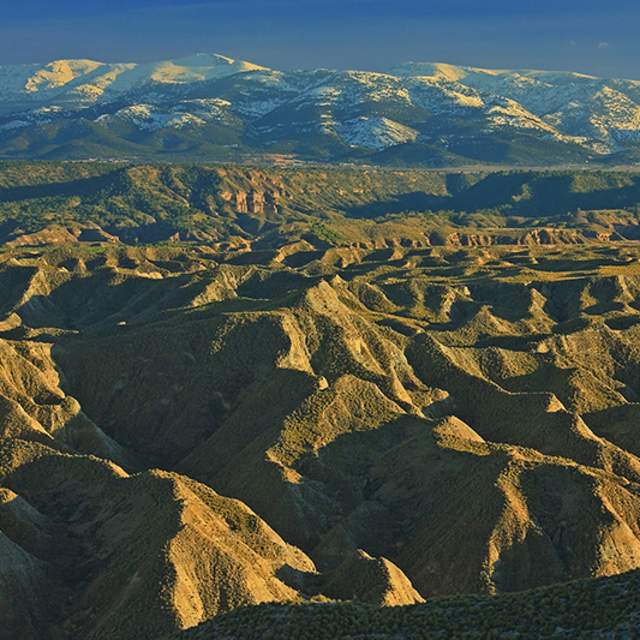 Georuta Desierto de Gorafe