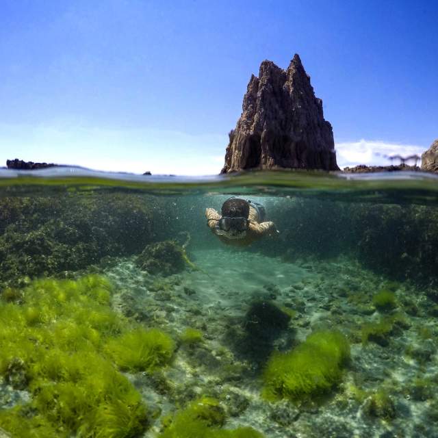 Arrecife de las sirenas Almería