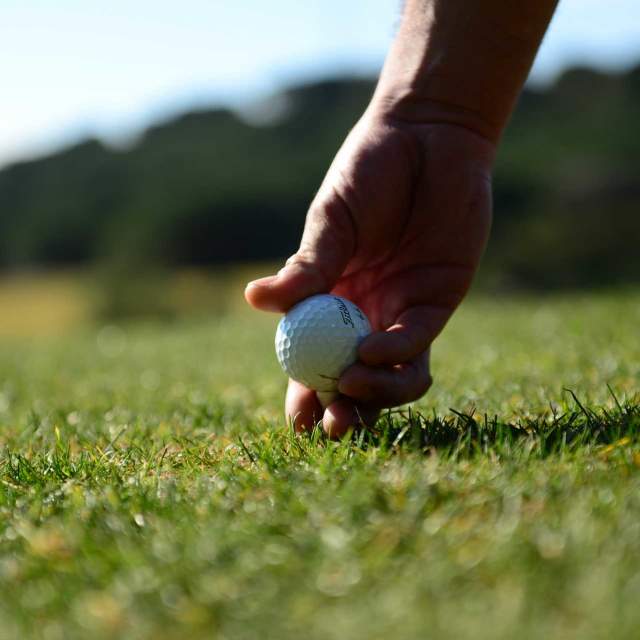 Golf las compras el mejor relax (34)
