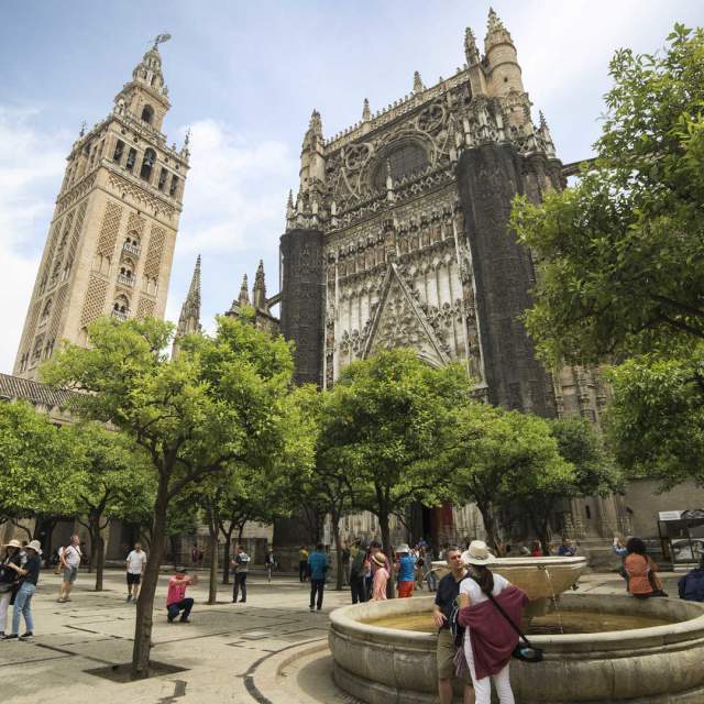 Visitas