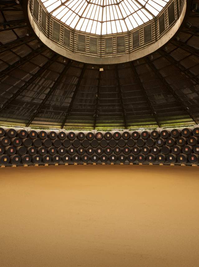 Jerez, Capital Gastronómica 2026: un viaje al corazón del sabor andaluz