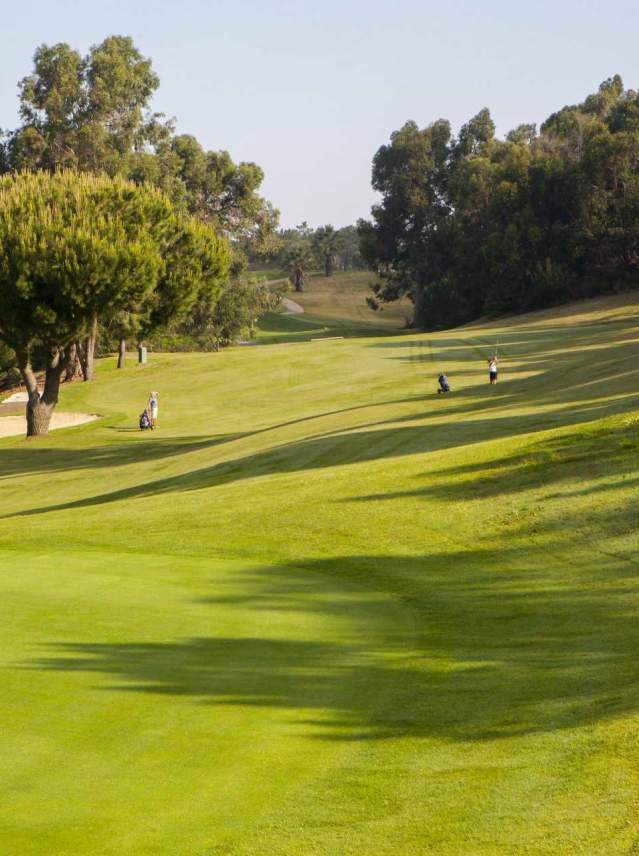 Golf in Andalusia: Outdoor sport to get back in shape.