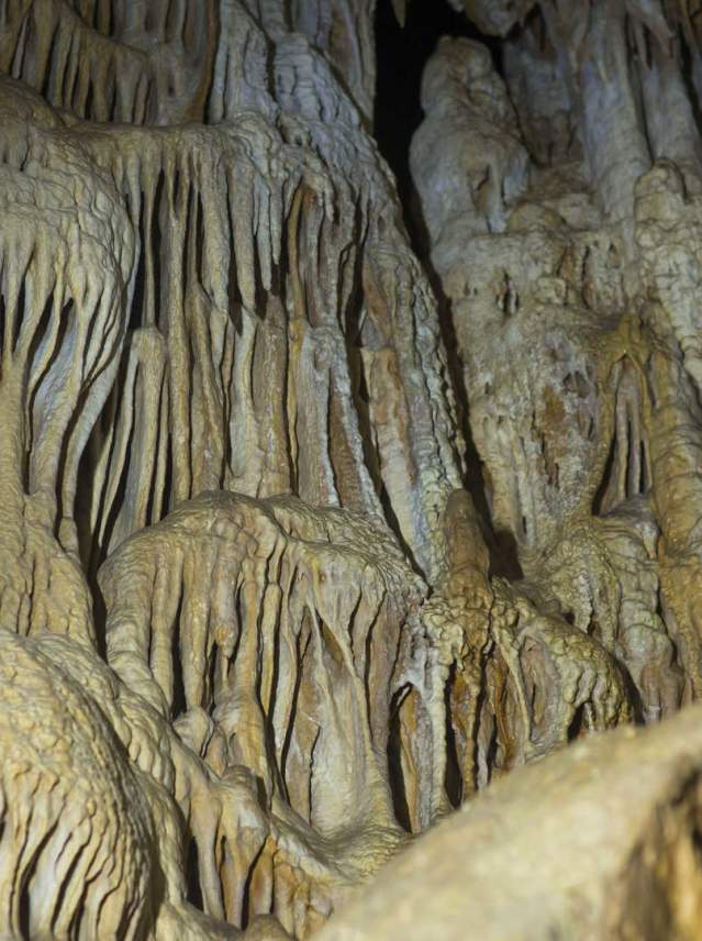 The Bat Cave of Zuheros