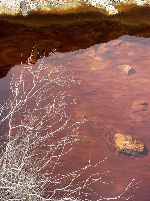 10 curiosidades que no sabías sobre el río Tinto