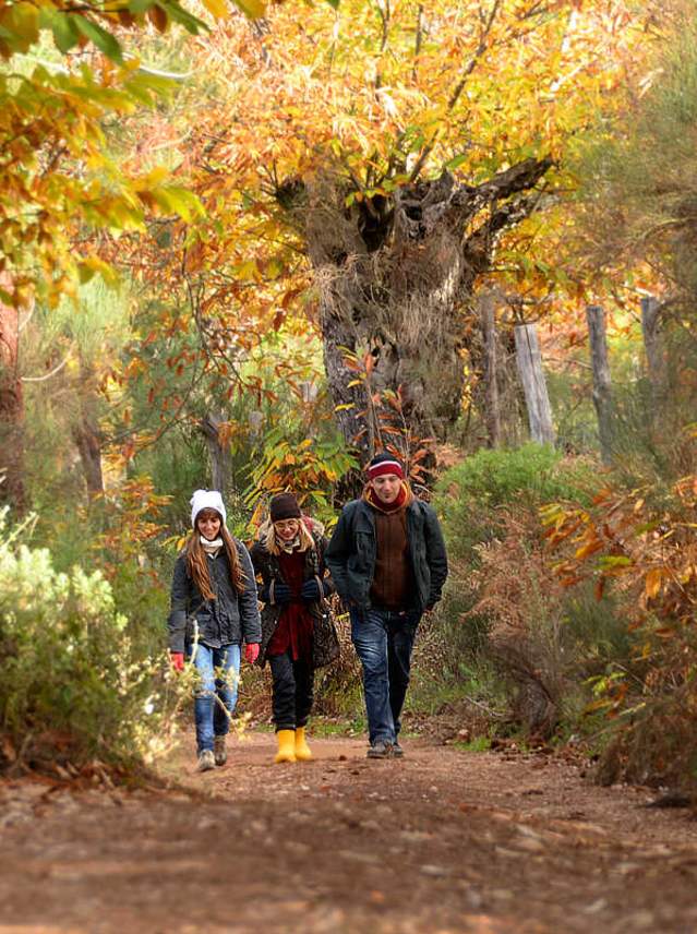 Paths and trails through the Sierra de Aracena and Picos de Aroche