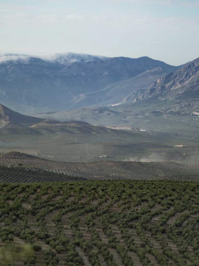 Why is a visit to Andalusia good for your health?