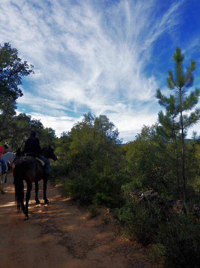 Horseback ride through Sierra de Aracena