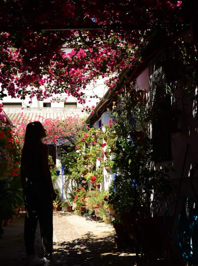 Cordoba, its patios, fair and the best Montilla-Moriles wine